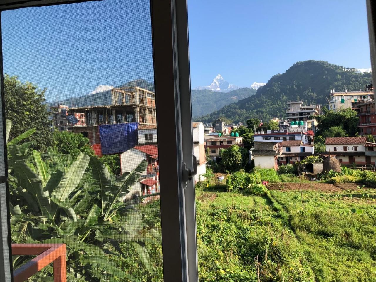 Hotel Guru 博卡拉 外观 照片
